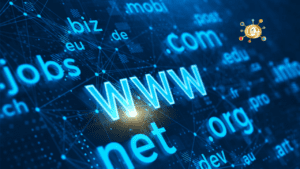 How NIXI's Decision for top level domain