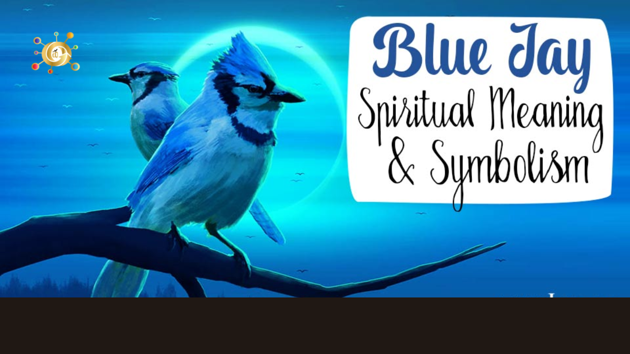 Spiritual Meanings of Seeing a Blue Jay